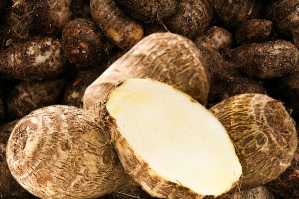 El Ñame: Un Alimento Energético y Nutritivo Desde la Raíz de Nuestra Tierra